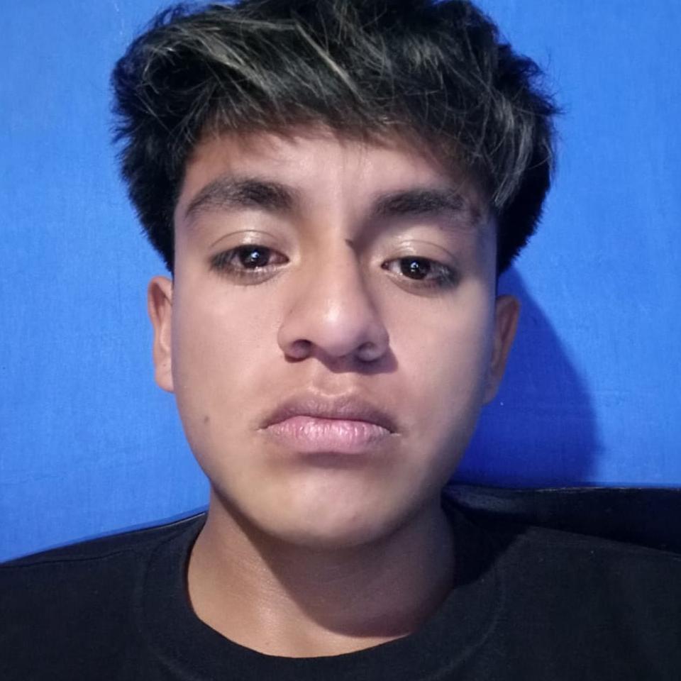 User Image