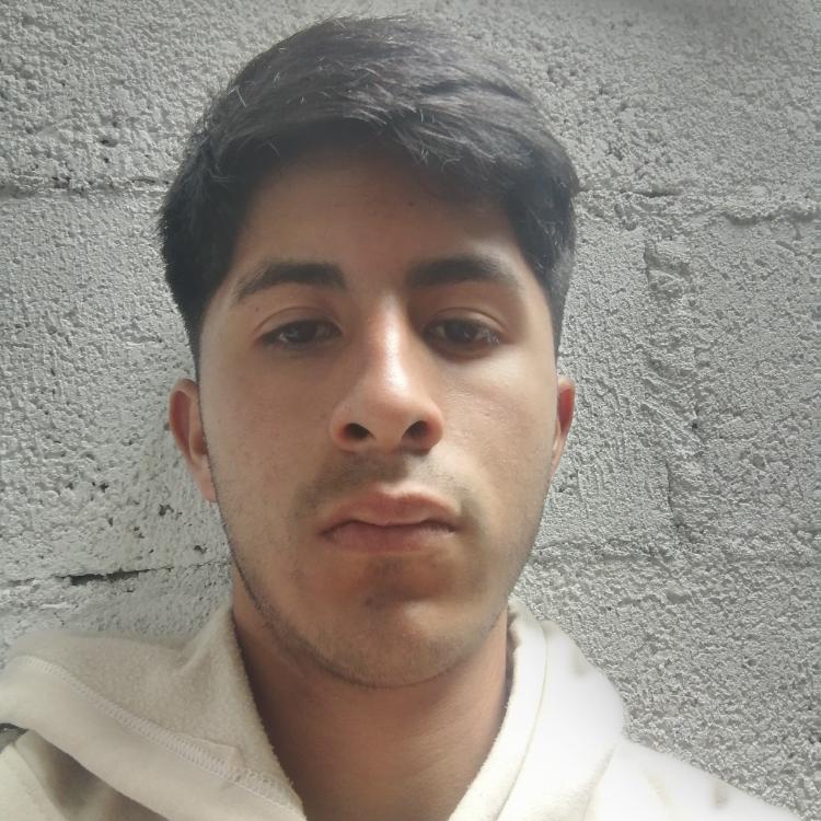User Image